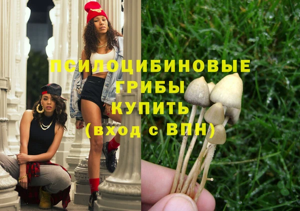 винт Белокуриха